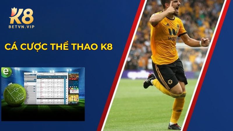 K8 - Nhà cái giải trí trực tuyến đa sảnh cược chuẩn quốc tế 27 Cá cược thể thao K8 đa dạng các môn thể thao hấp dẫn